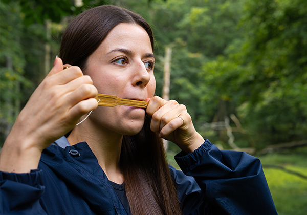 Amanohashidate HistoricTrail